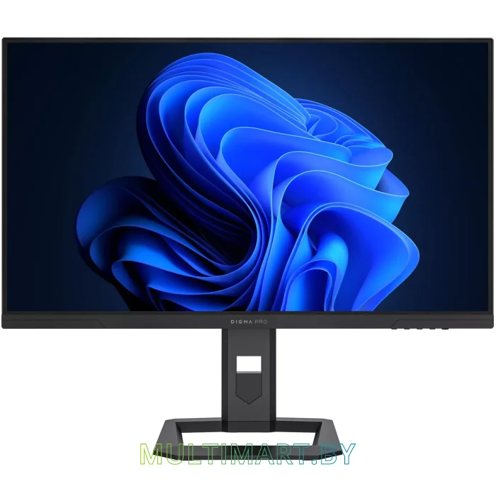 Монитор Digma Pro Action S (DM27SP06)